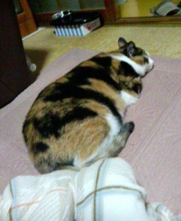 ���B