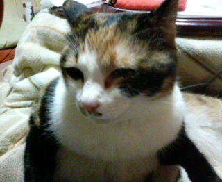 �v������D���B