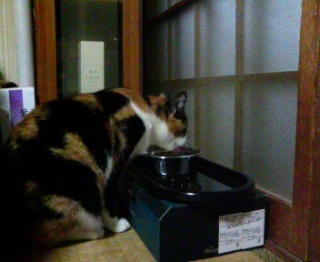 �H���́c