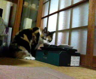 �����⋋�B
