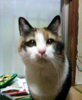 �ہB
