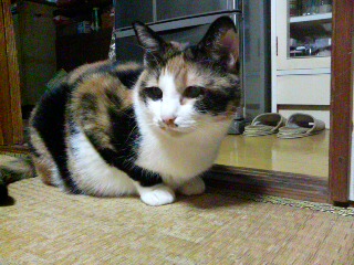 ���j���B