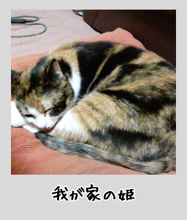 ���H�B