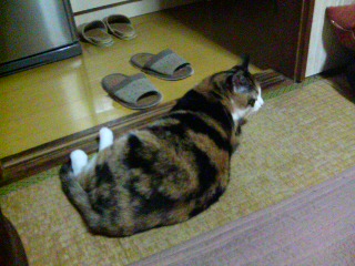 �Ђ˂��B