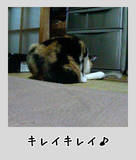 ���������c