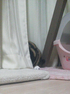 �B�B