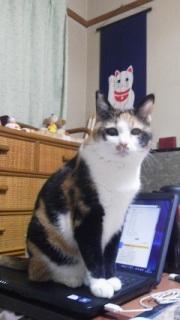 �R���I