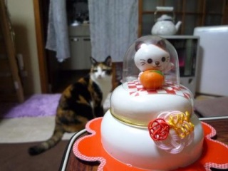 ���J���B