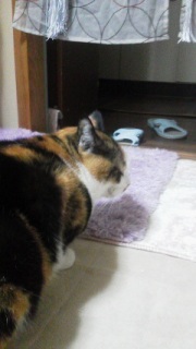 �邲�͂�O�B