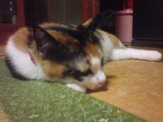 �s�@���B
