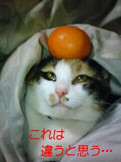 �~�B