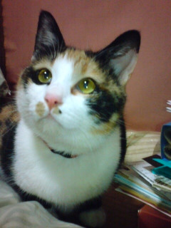 �^��ہB