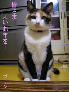 ���肪�Ƃ��B