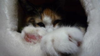 �ǁ`��B