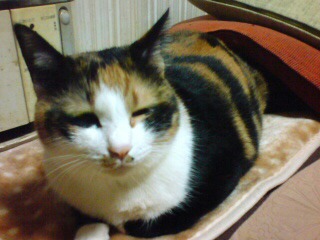 �����I
