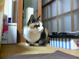 �����B