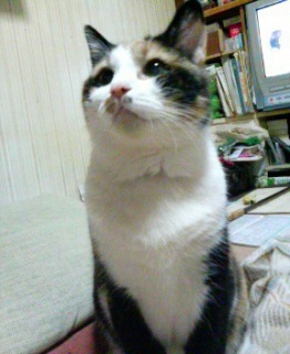 ���͂悤�B