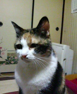 �ǂ���B