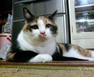 �j���B