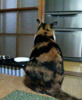 ���[���B