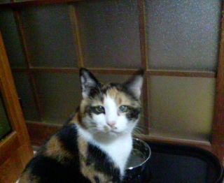 ���͂悤�B